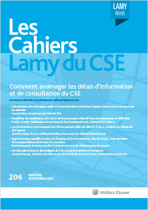Numéro gratuit - Les Cahiers Lamy du CSE - Délais d’information et de consultation du CSE